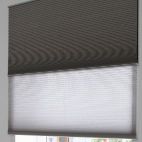 duette blind